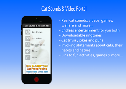 Cat Sounds and Video Portal