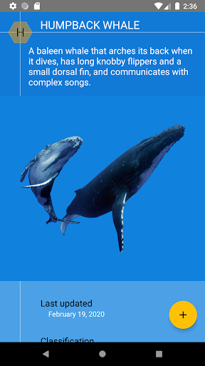 Aquatic Mammals Atlas