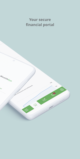 WealthEye Screen 2