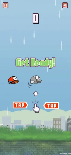 Flight Tap Bird - Screenshot 3