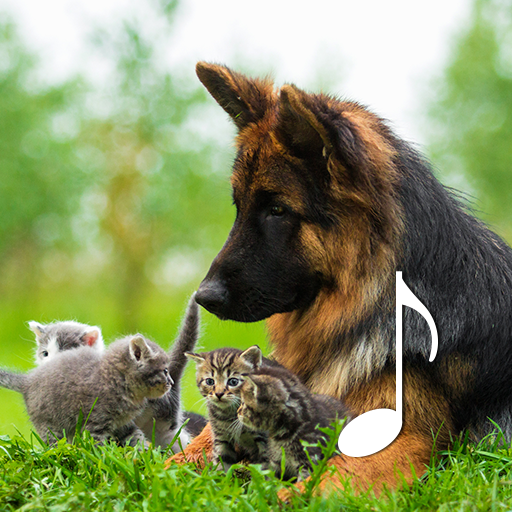 Cat & Dog Sounds – Pet sounds logo