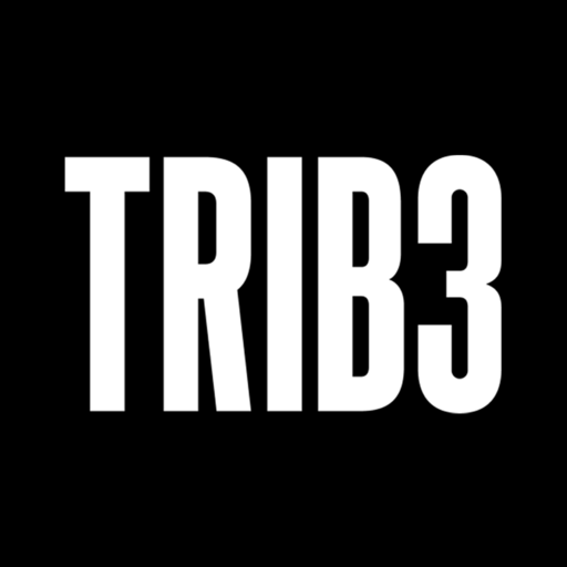 TRIB3 ES Download on Windows