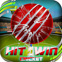 Hit N Win Cricket