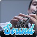 Clarinet Music Sounds Effect