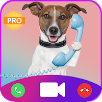 Fake call from cute Dog Instant prank call video