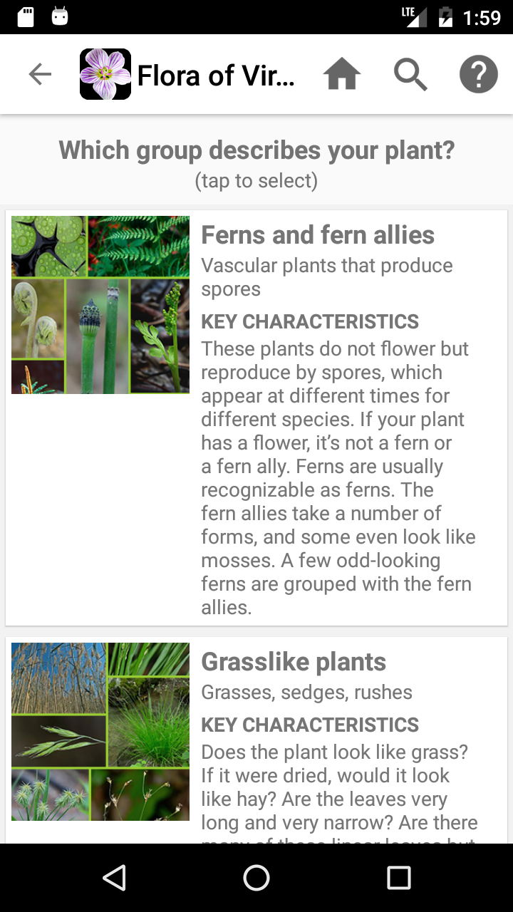 Android application Flora of Virginia screenshort