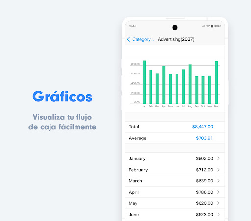 Contabilidad para Pymes Screenshot 3