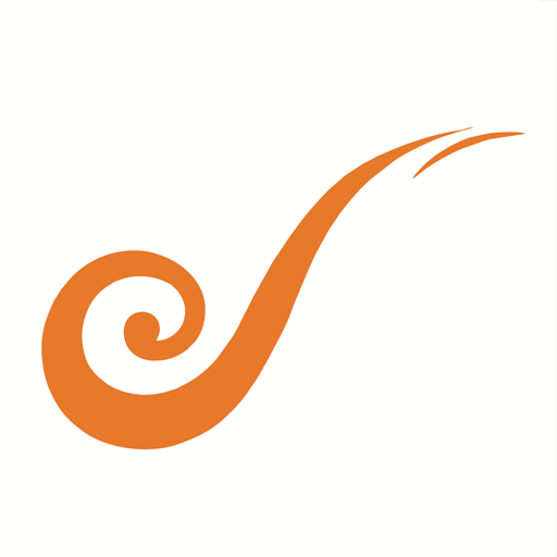 DrukRide logo