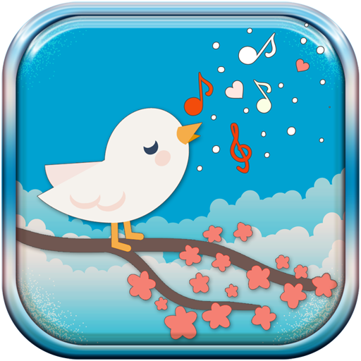 Игра звук птичек. Приложение с птичкой как называется. Seabirds app. Bird Sound. Bird Sounds and Ringtones.
