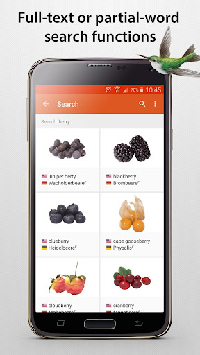 JOURIST Visual Dictionary