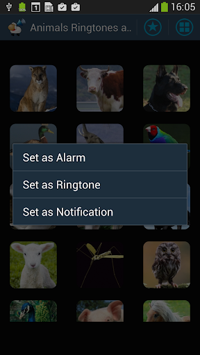 Tải Animals Sounds Ringtones Alarm Soundboard MOD + APK 3.1.1033 (Mở khóa Premium)