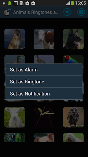 Animal Sounds Ringtones Alarm Screen 2