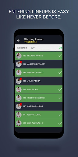 Referee Pro REF! Screen 2