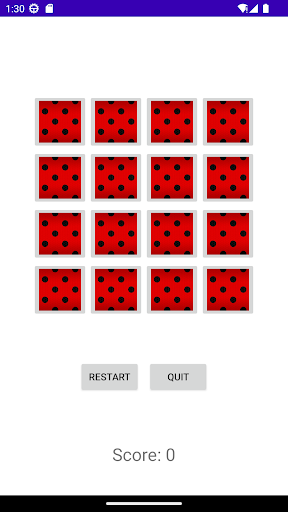 LadyBug Memory Screen 2