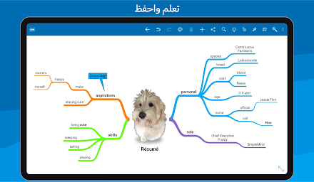 SimpleMind Pro - Mind Mapping