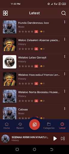 Haacaaluu Hundeessaa Music