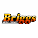 Briggs Auto Group Unduh di Windows