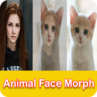 Zoo Animal Face Morph – Animal