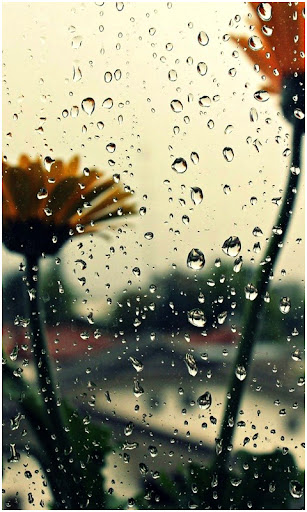 Android application Beautiful Rain Wallpapers screenshort
