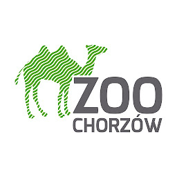 ZOO Chorzów: Download & Review