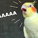 Awesome Cockatiel Sounds mp3 - Androidアプリ