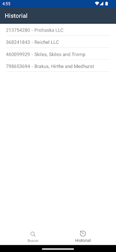 Consulta RUC Screen 3