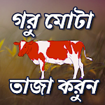 Cover Image of Télécharger গরু দ্রুত মোটা তাজা করণ  APK