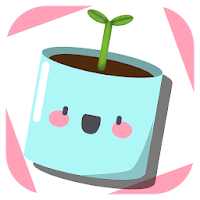 My Plants Evolution -  your po