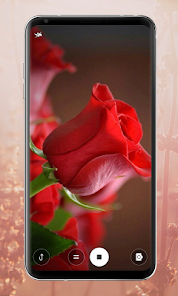 Captura 4 Rose Mobile Wallpapers android