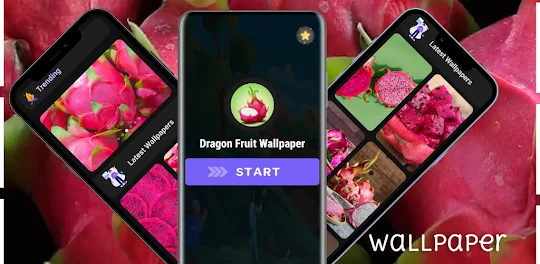 Dragon Fruit Wallpaper