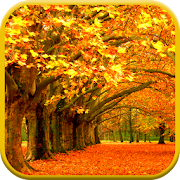 Autumn Leaves Video Wallpaper