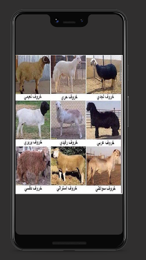 تربيه الاغنام والماعز وتسمين Screenshot 2 - AppWisp.com