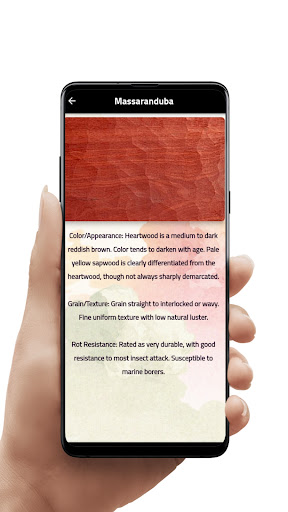 Amazonn woods Screen 2