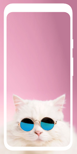 Cute Cat Wallpaper HD 4K