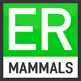 Easy Recorder British Mammals icon