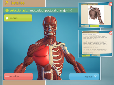 Captura de Pantalla 10 Easy Anatomy 3D(learn anatomy) android