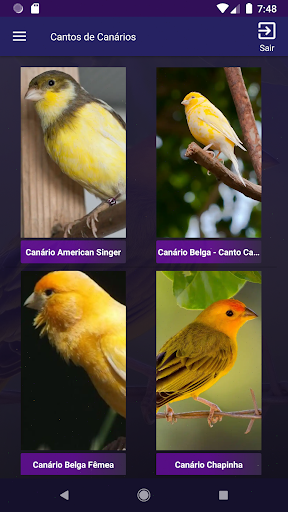 Android application Cantos de Canarios screenshort