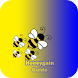 Honeygain Earning Cash Guide - Androidアプリ