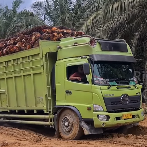 Offroad Mud 4x4 Truck