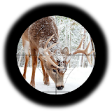 Final Deer Hunt icon