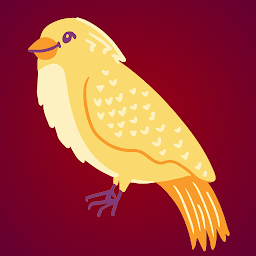VJN: Balancing Little Bird