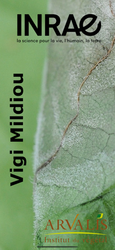 Android application Vigi Mildiou screenshort