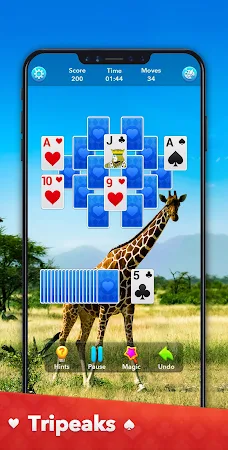 Game screenshot Solitaire Collection apk download