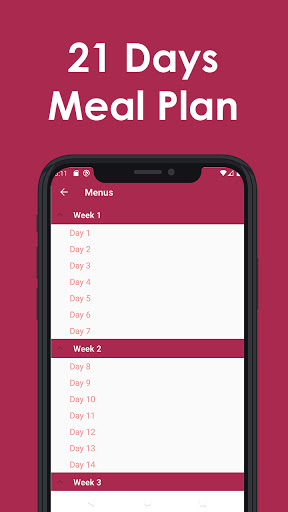 21Days Keto Paleo Weight Loss Screen 2