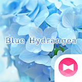 Blue Hydrangea Theme icon