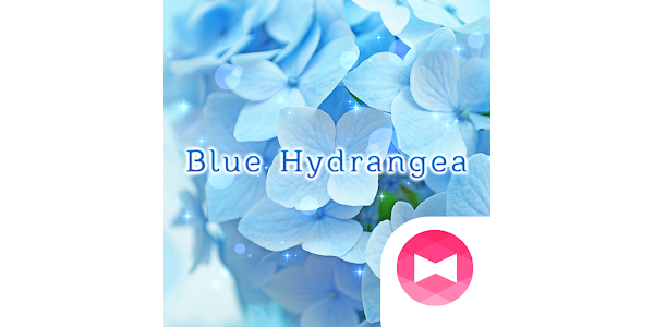水色のあじさい Homeテーマ Google Play のアプリ