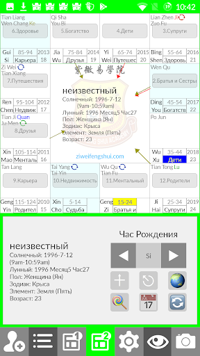 Ziweidoushu Chart Builder (Rus Screen 2