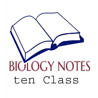 Class 10 Biology Notes Offline