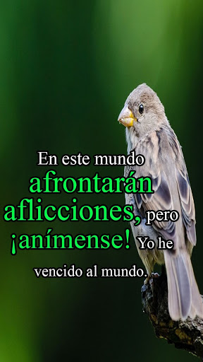 Versiculos de Animo Screen 3