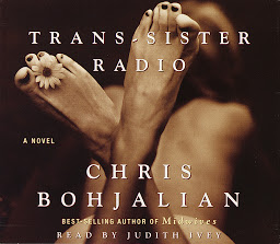 Icon image Trans-Sister Radio: A Novel